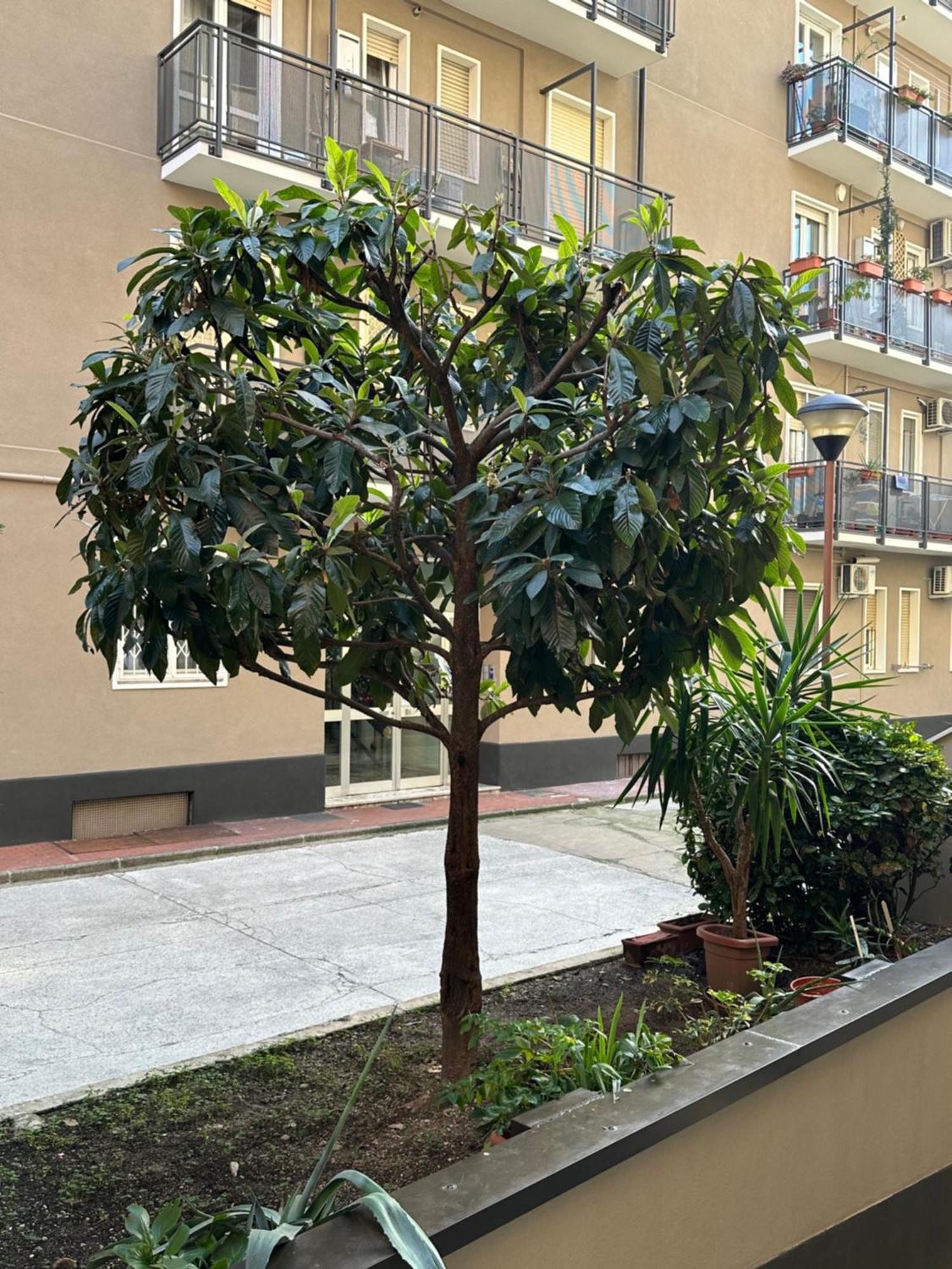 Nolo62, A Nifty Flat In Milan Apartment ภายนอก รูปภาพ